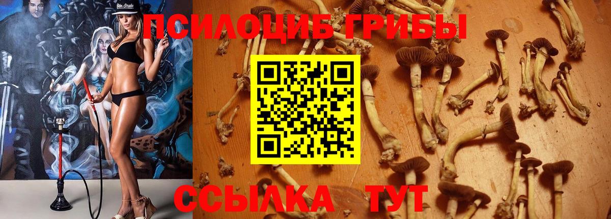 Псилоцибиновые грибы мицелий  Галлюциногенные грибы MAGIC MUSHROOMS  Вход с VPN  Протвино 