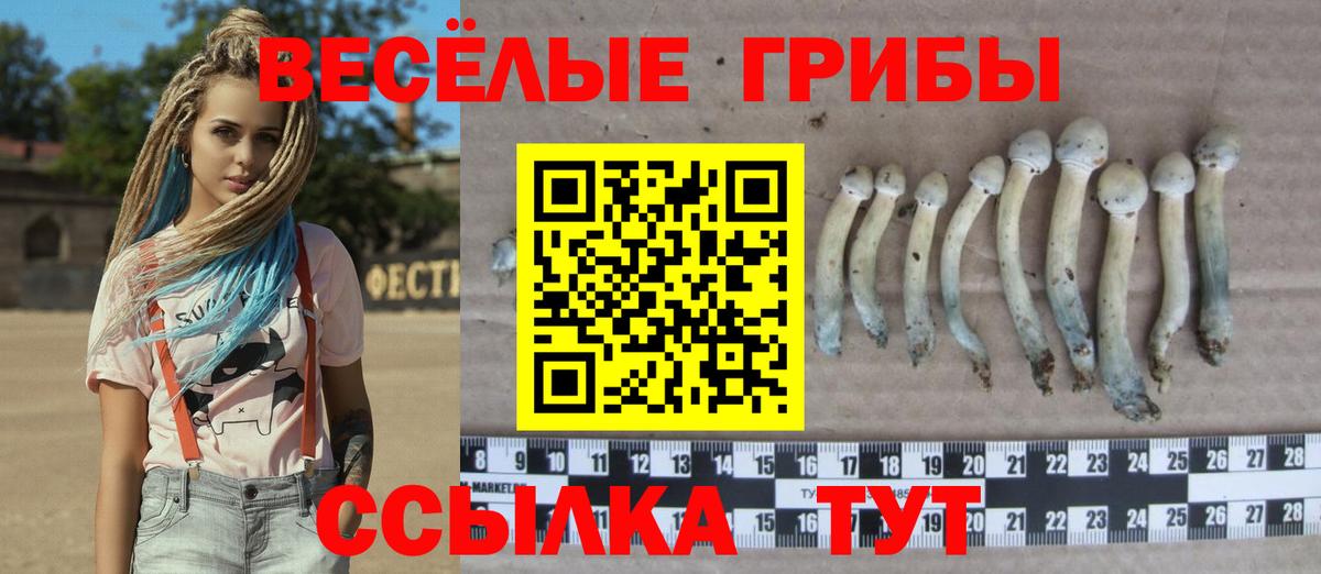 Псилоцибиновые грибы ЛСД Протвино