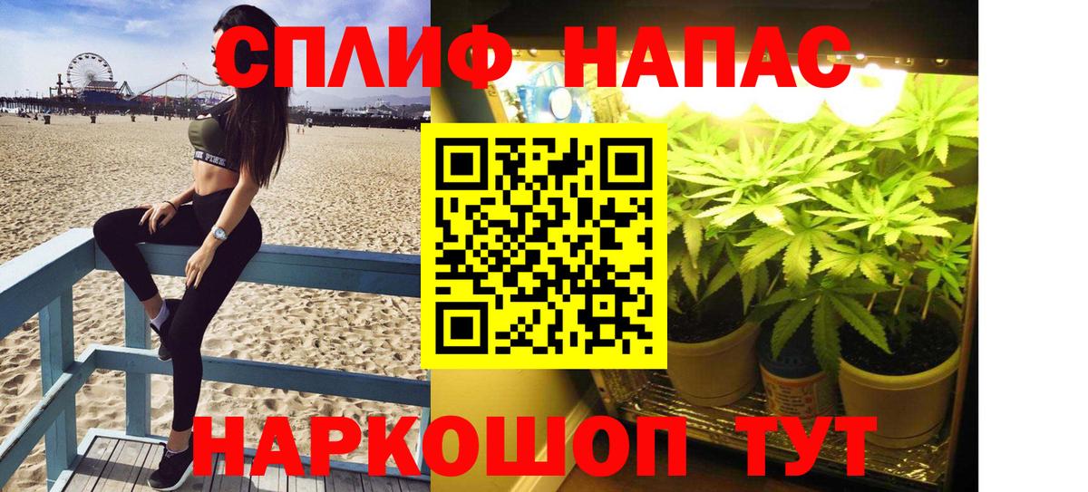 Бошки Шишки тримм Протвино